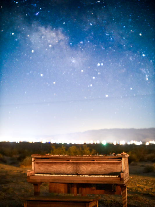 The Music of the Night