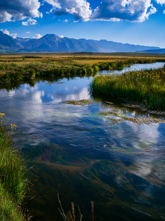 Glassy Reflection on the Owen's River