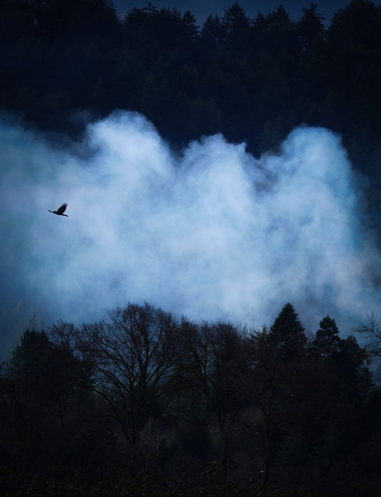 Clearing the Weather - Print (Slightly Glossy)