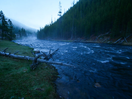 Firehole River's Bend at Dawn